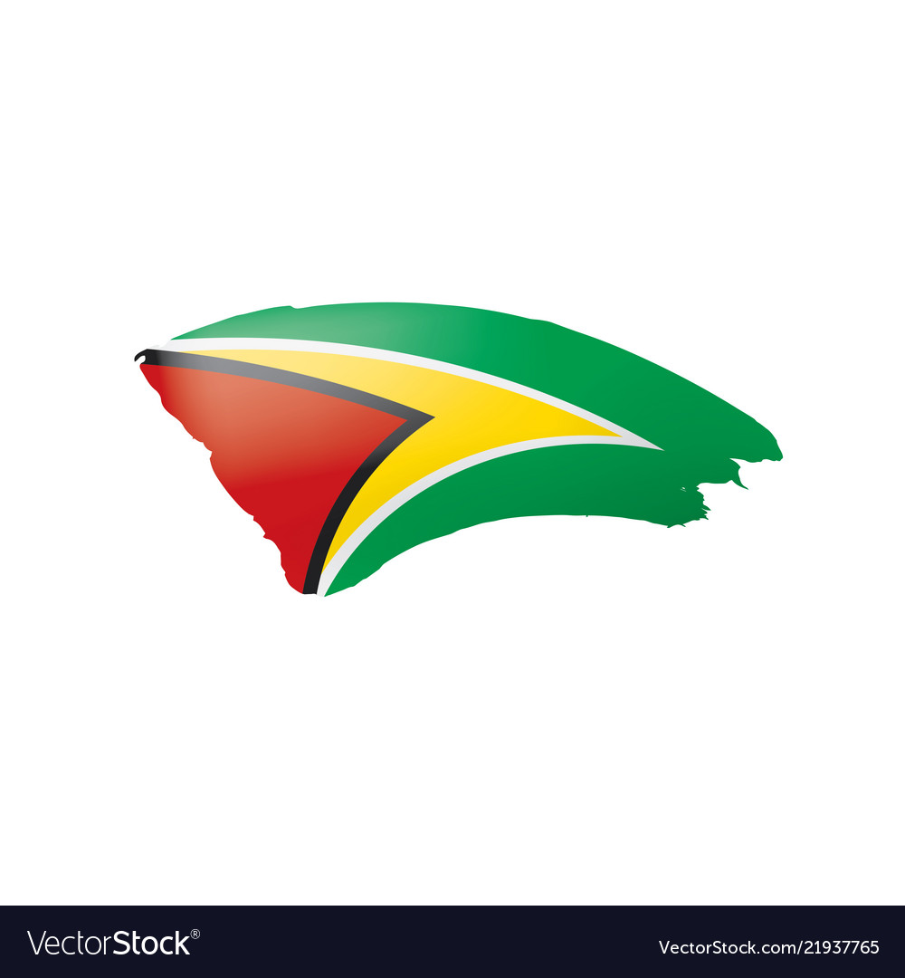 Guyana flag on a white vector image Guyana flag on a white