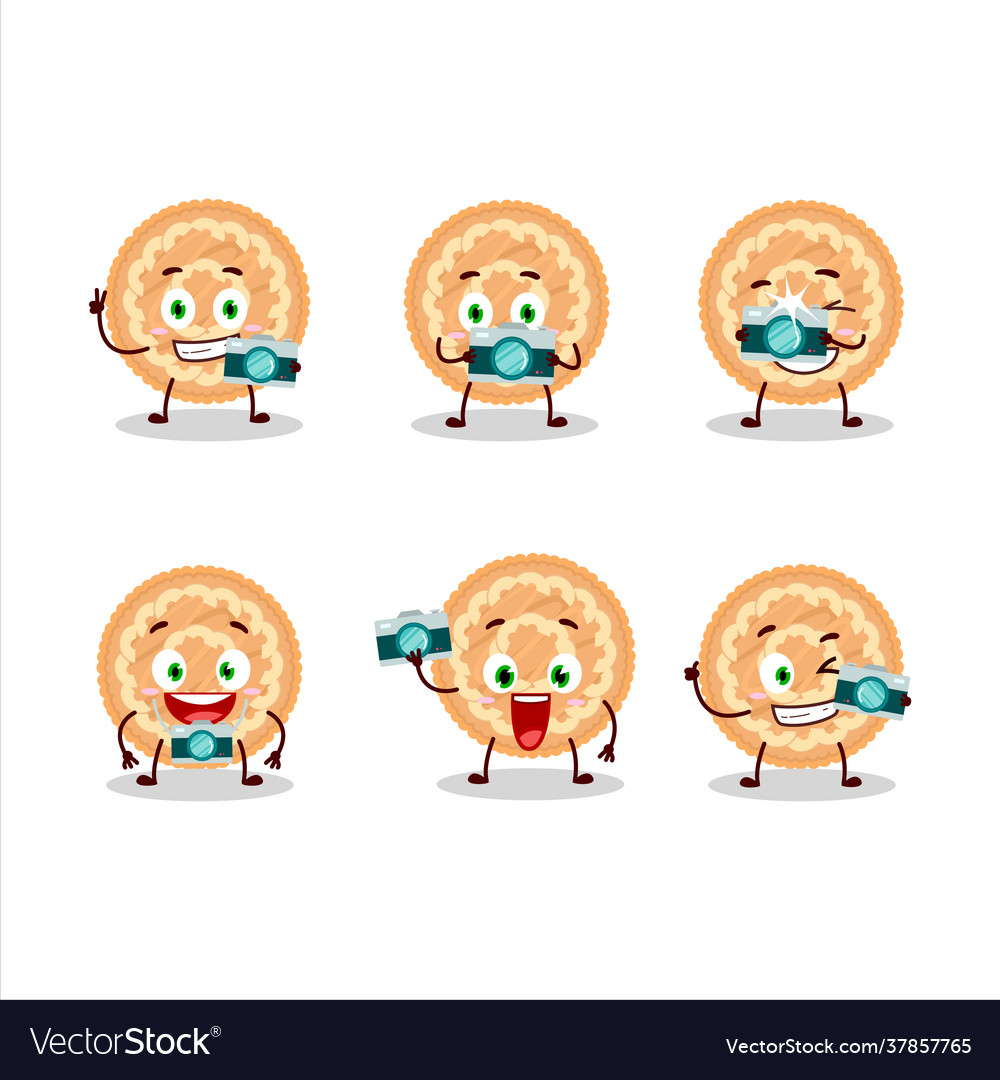 Photographer Profession Emoticon With Potatoes Pie 6734