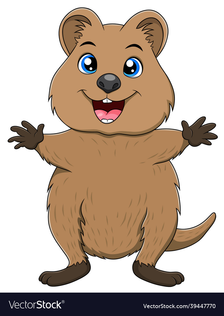 Cute quokka animal cartoon Royalty Free Vector Image