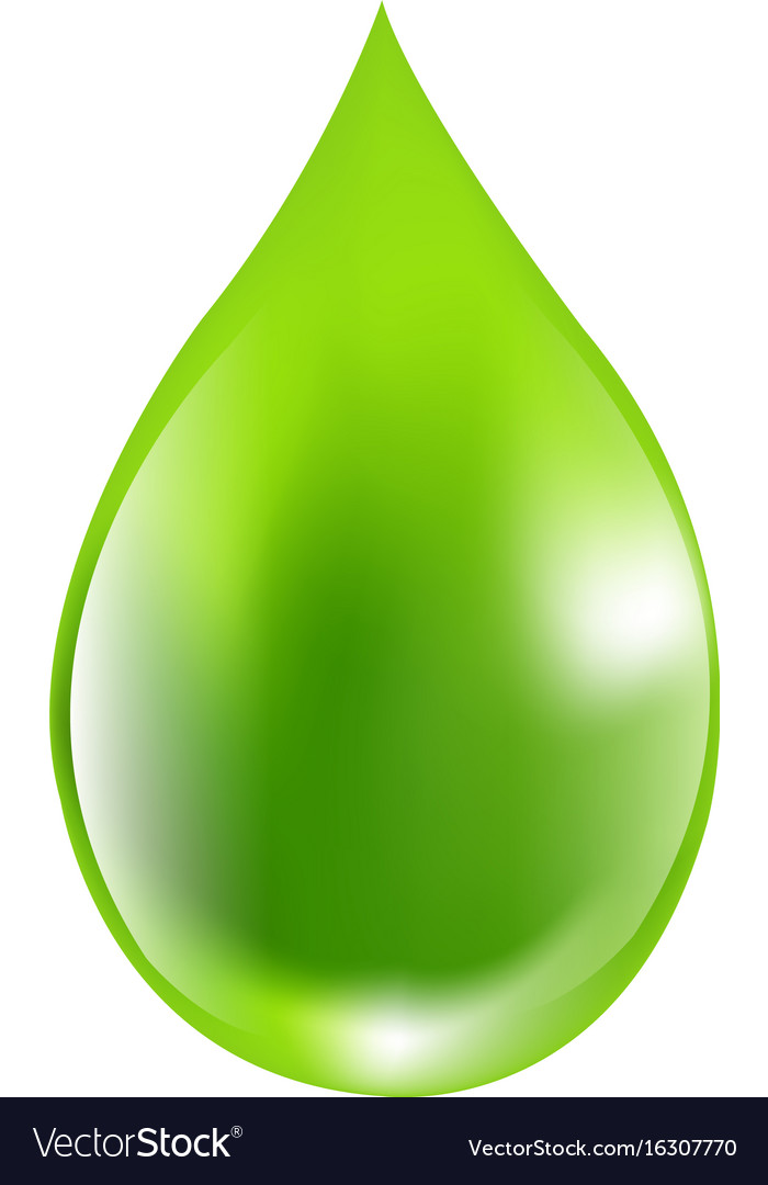 Green drops Royalty Free Vector Image VectorStock