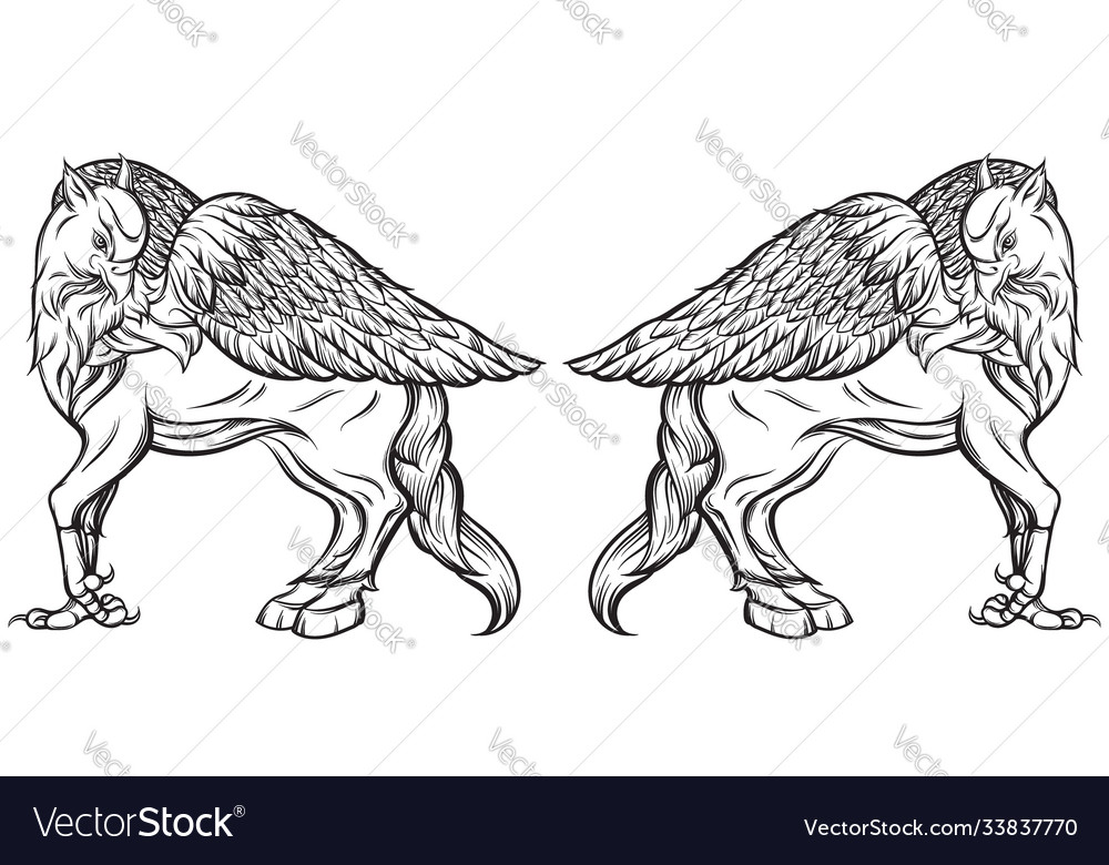 Hand drawn realistic hipogriff in line style Vector Image