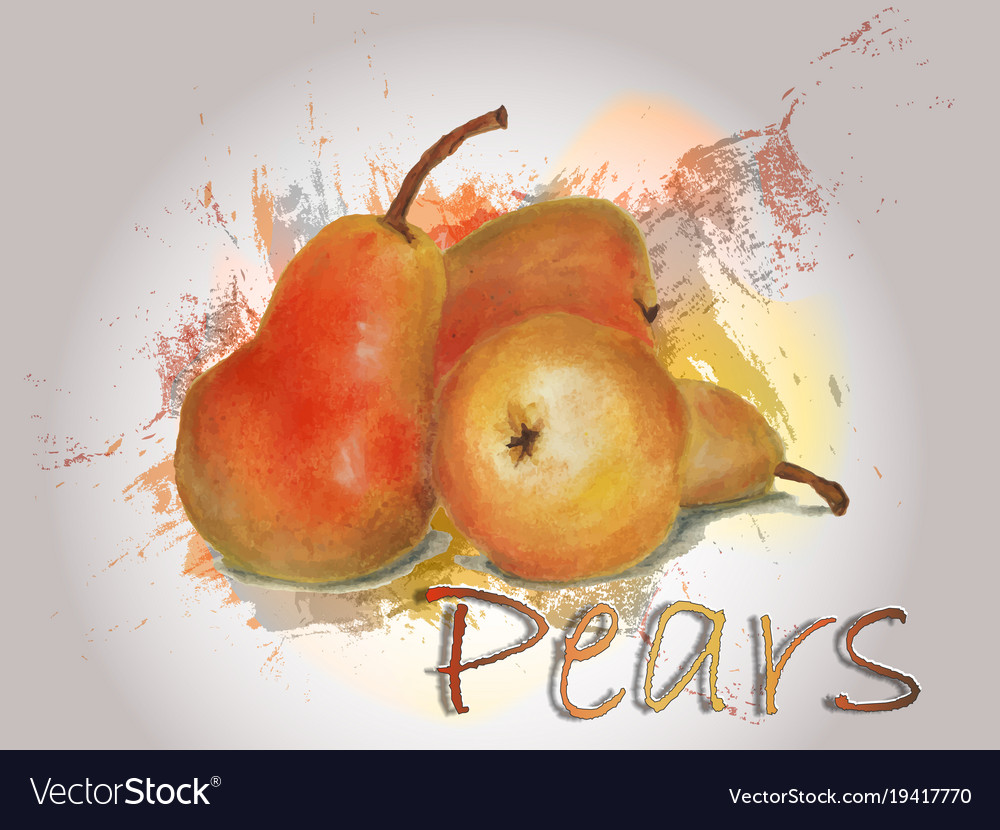 Pear watercolor food