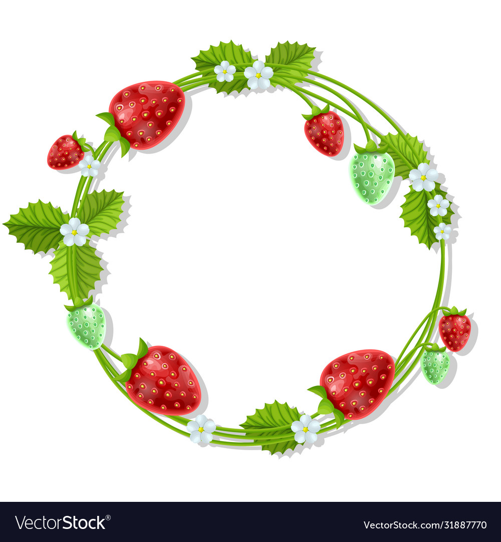 Wild forest fruits on wreath circle frame from