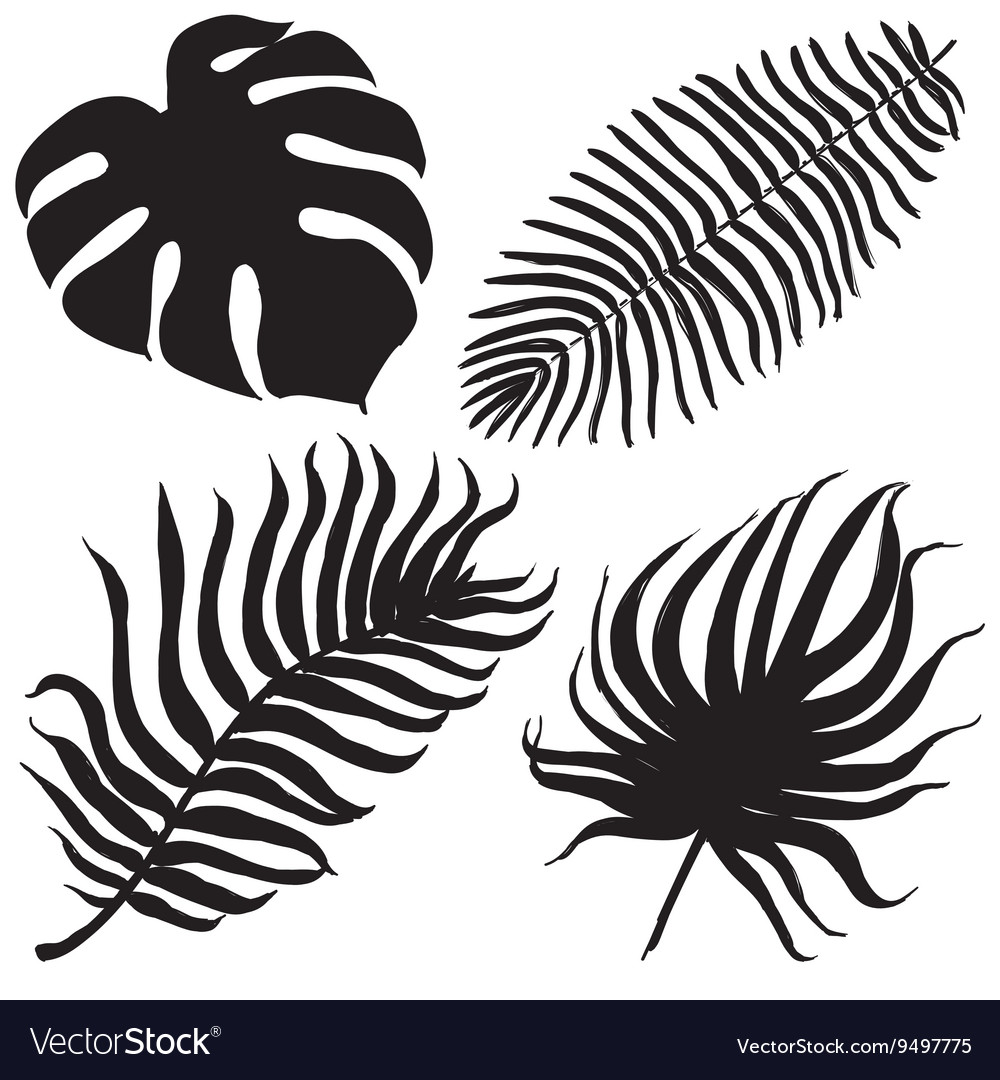 Set with tropical exotic leafes Royalty Free Vector Image