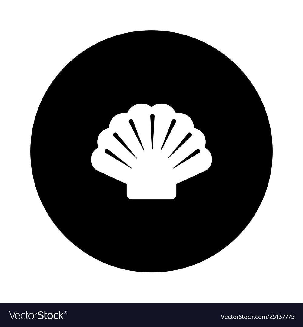 Shell and circle
