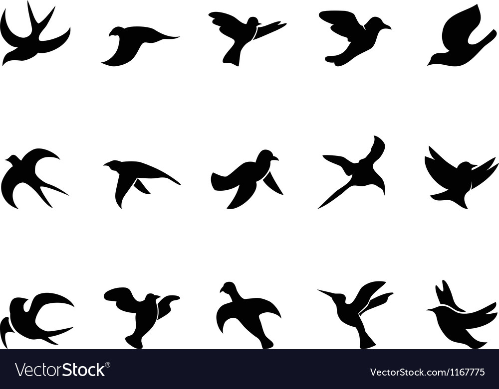 bird flying silhouette