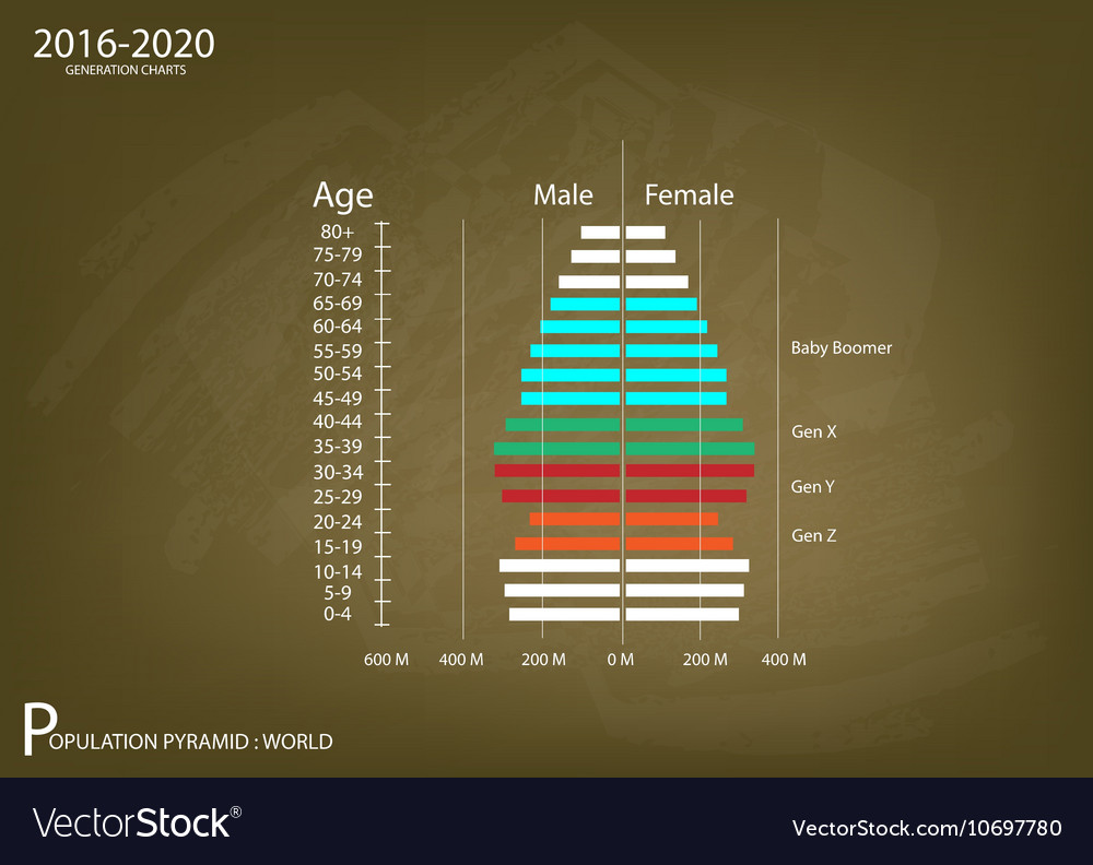 2016-2020 Population Pyramids Graphs Royalty Free Vector