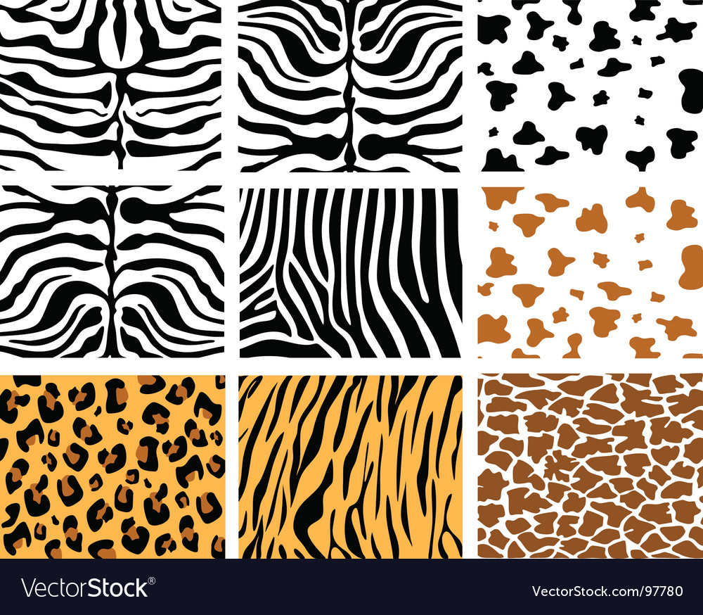 Download Animal skins Royalty Free Vector Image - VectorStock