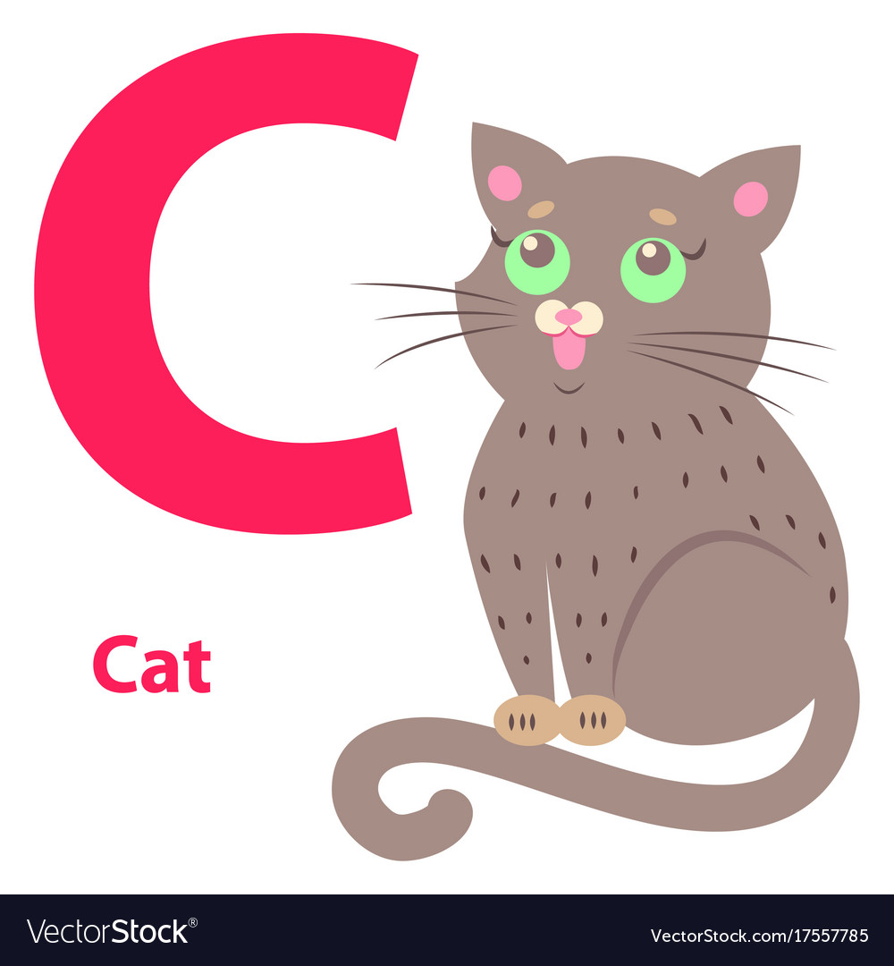 Alphabet for letter c with cute cat Royalty Free Vector