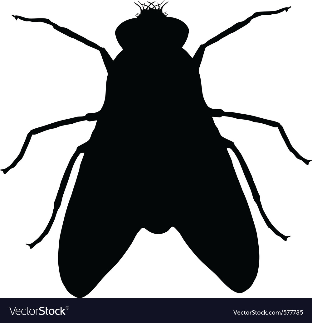 Download Fly silhouette Royalty Free Vector Image - VectorStock