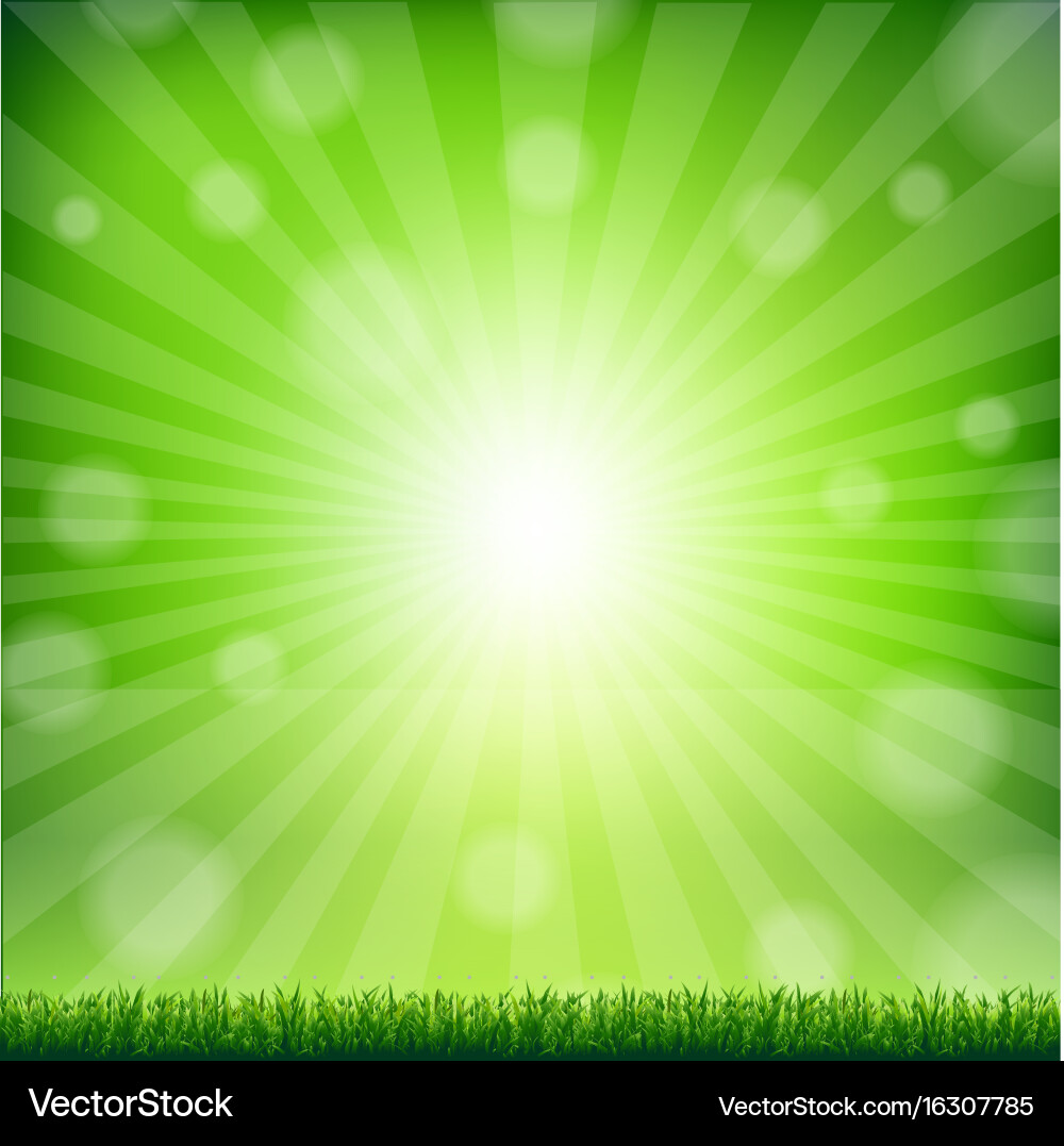 Green grass border Royalty Free Vector Image - VectorStock