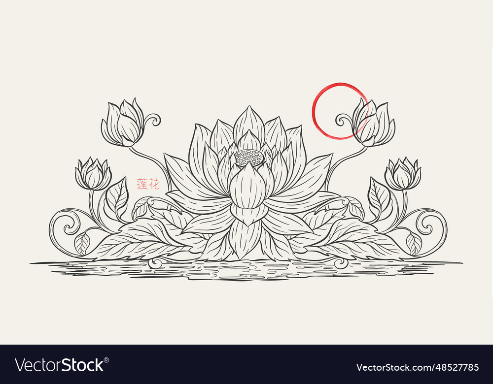 Lotus and leaf sketch with fine graceful lines