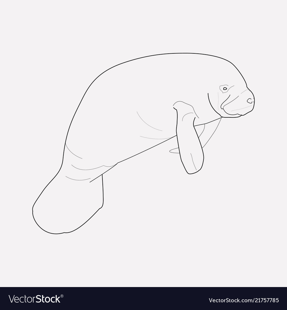 Sea cow icon line element Royalty Free Vector Image