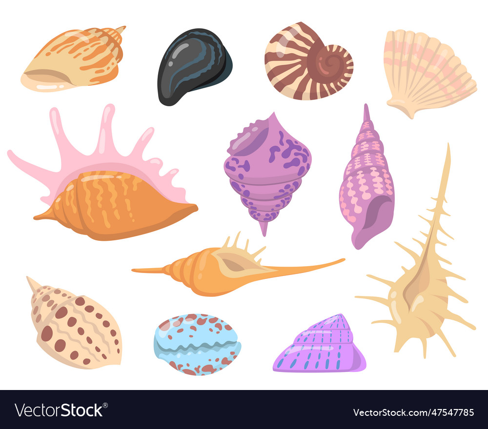 Sea or ocean shell objects flat set