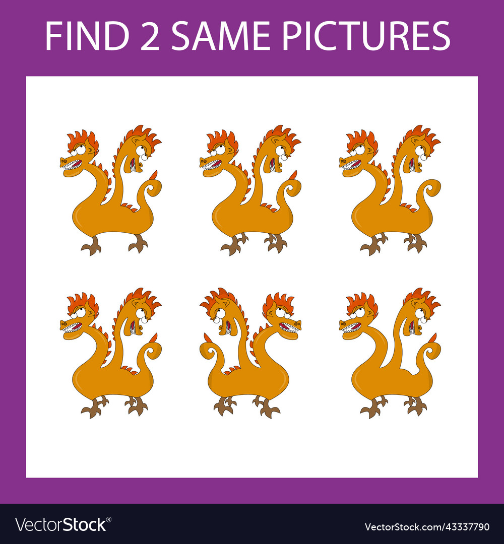 Web vector image Web