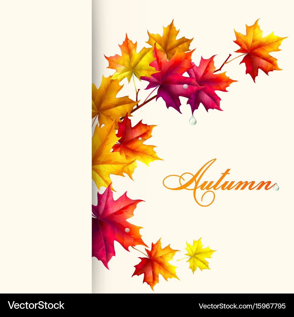 Abstract autumn background Royalty Free Vector Image