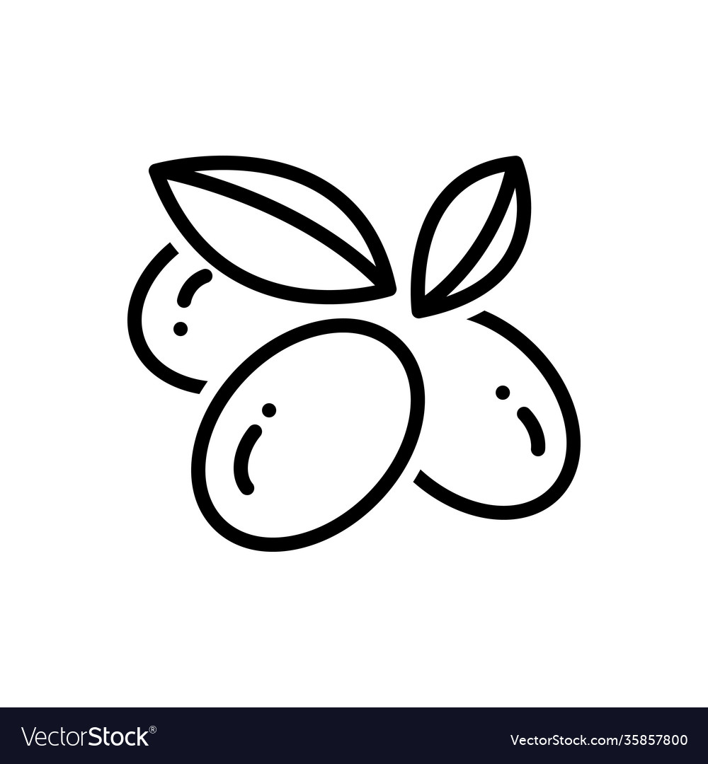 Olives Royalty Free Vector Image - VectorStock