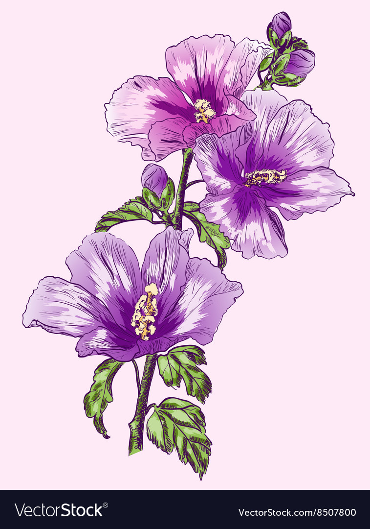 Hand Drawing Purple Flower 5429530 Vector Art at Vecteezy