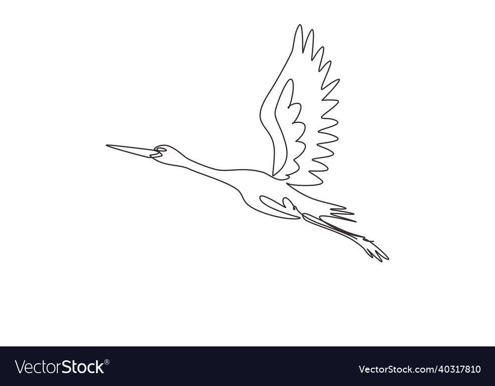 Continuous Line Stork Drawing