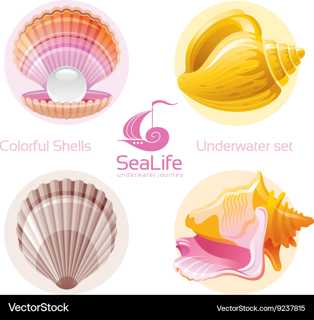 Colorful Seashell Icon Set Royalty Free Vector Image