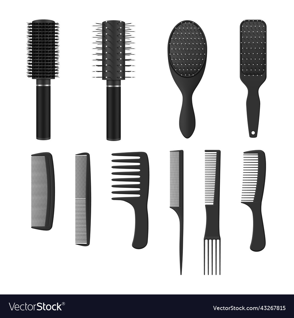 Professional combs for hair care set realistic Vector Image