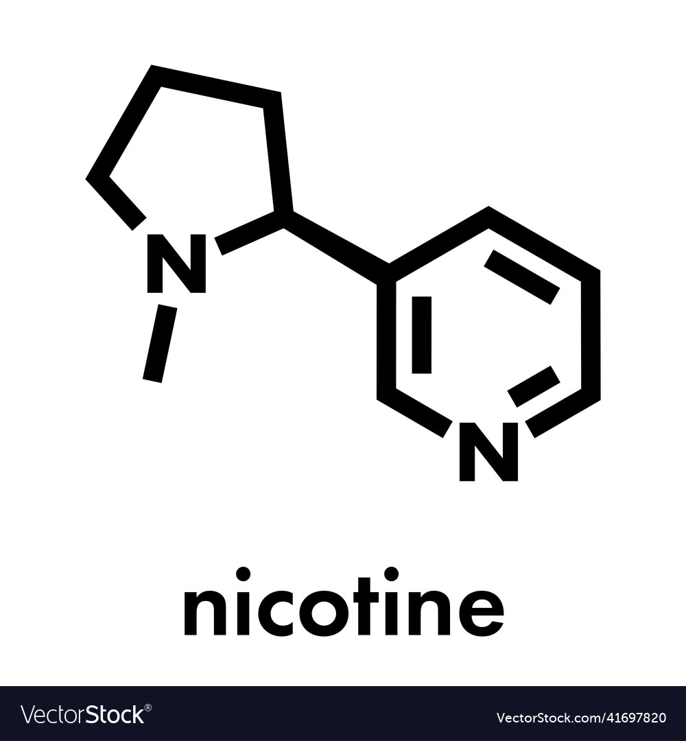 Nicotine tobacco stimulant molecule main Vector Image