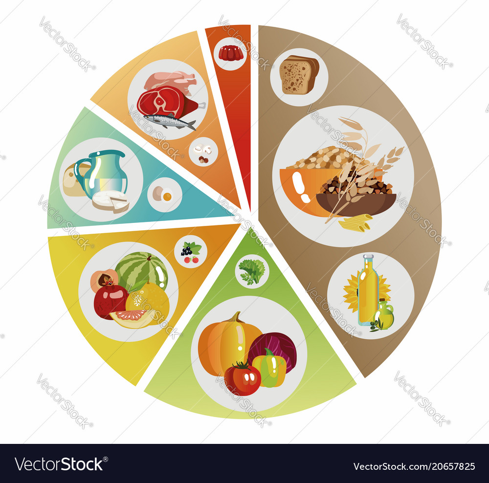 Food Pyramid Of Pie Chart Royalty Free Vector Image