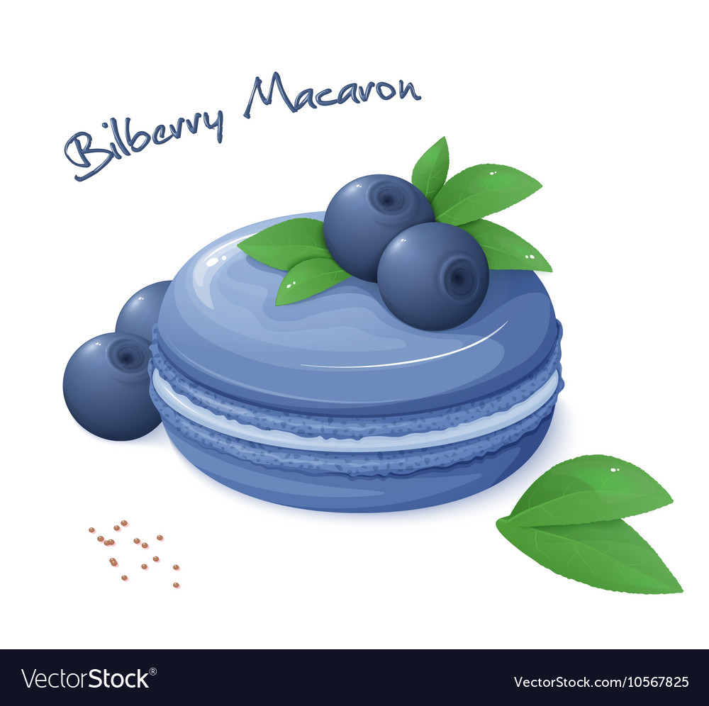 Realistic isolated bilberry macaron with fresh