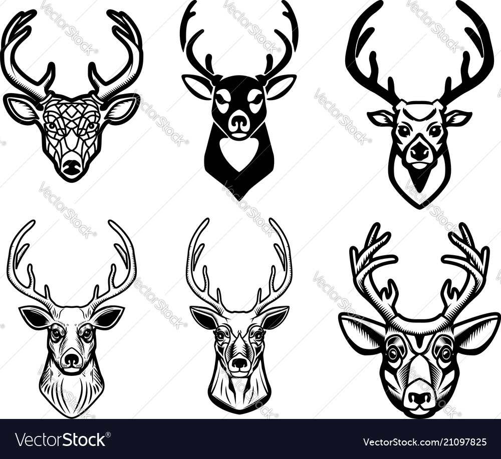 Set of deer head on white background design vector image Set of deer head on white background design