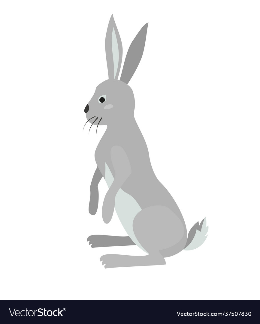 Süße Hase auf weißem Hintergrund Vector Image Süße Hase auf weißem Hintergrund