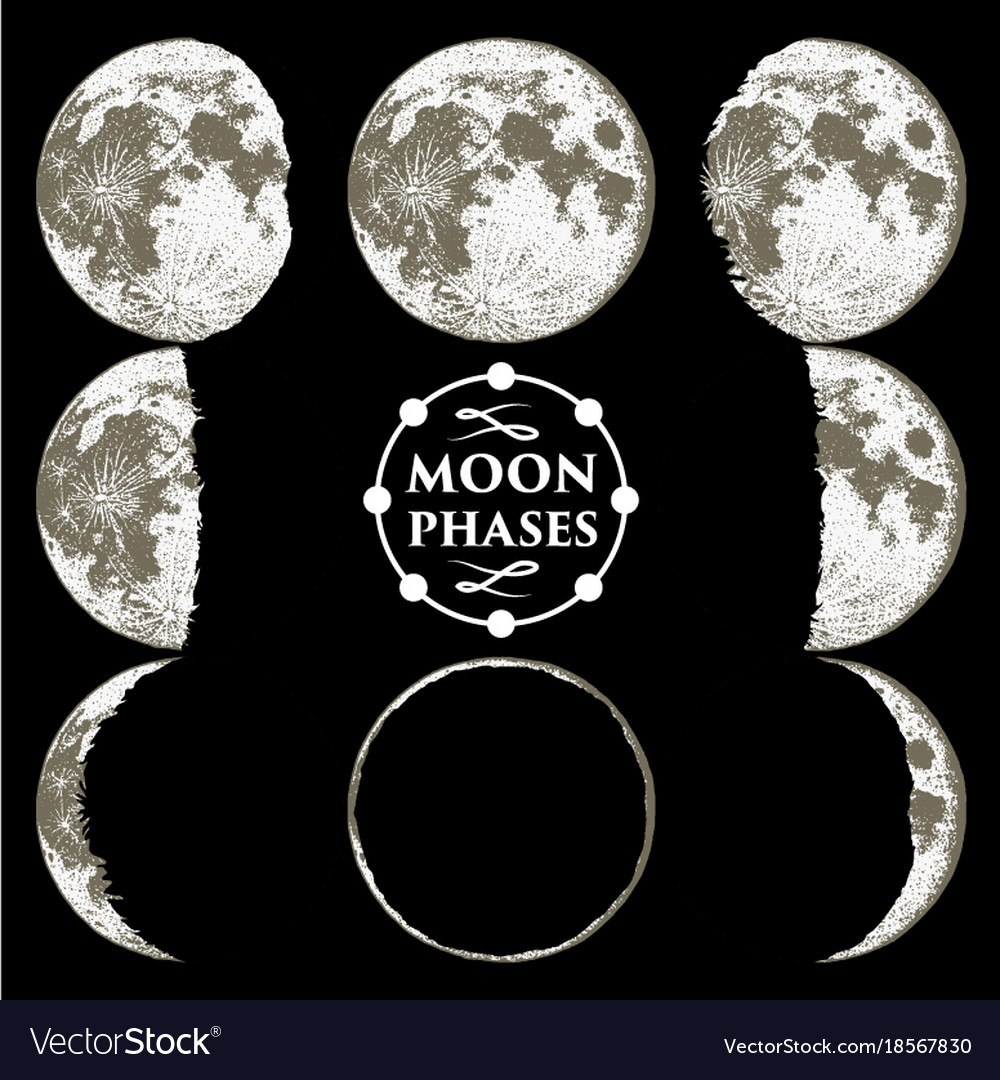 Moon Phases Planets In Solar System Astrology Vector Image