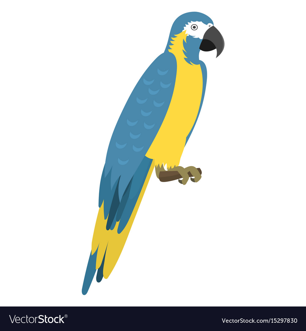 Tropical Parrot