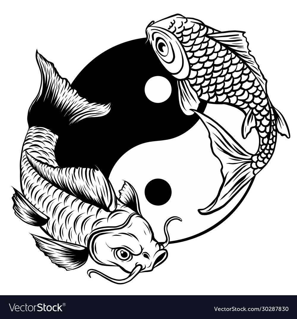 Koi fish drawing Royalty Free Vector Image - VectorStock