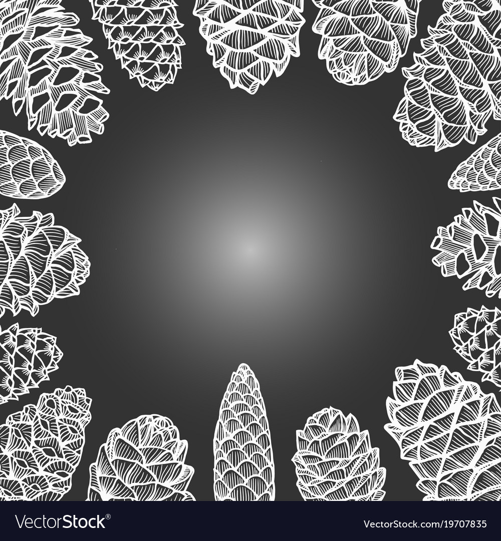 Background with pine cones