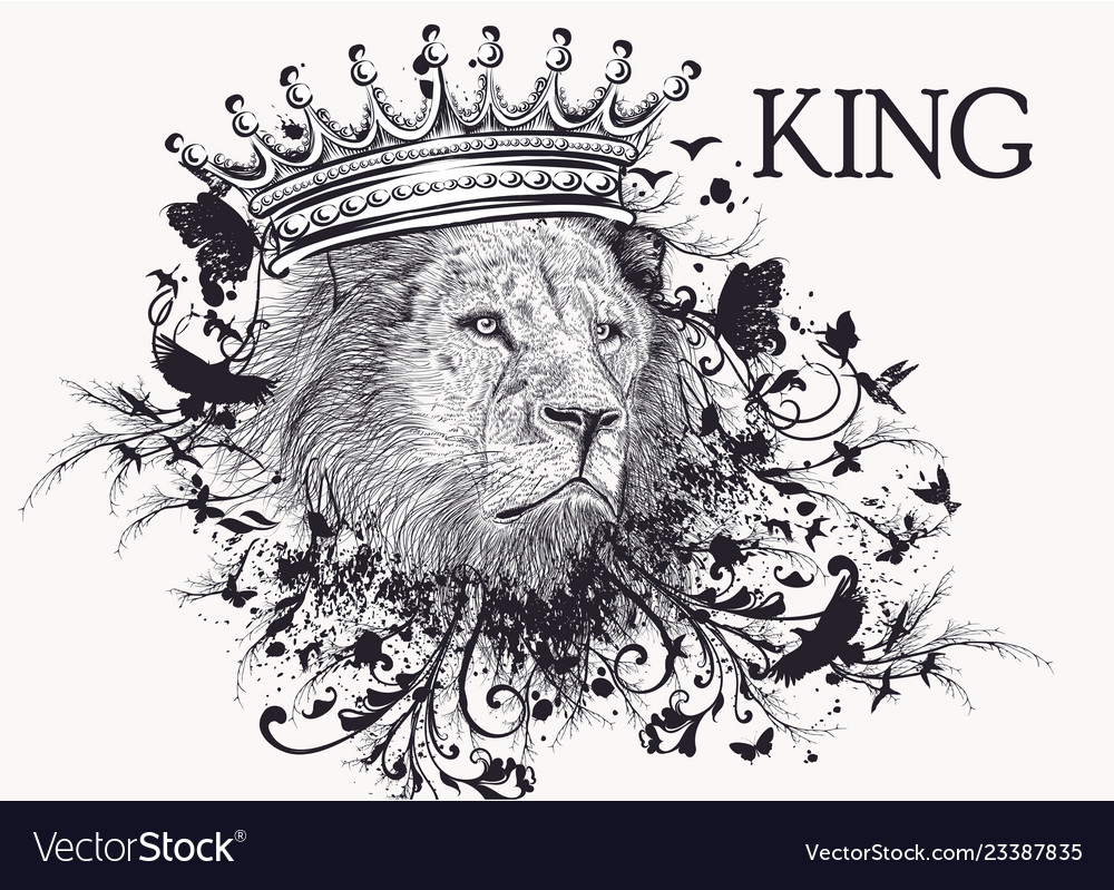 Hand drawn portrait lion Royalty Free Vector Image