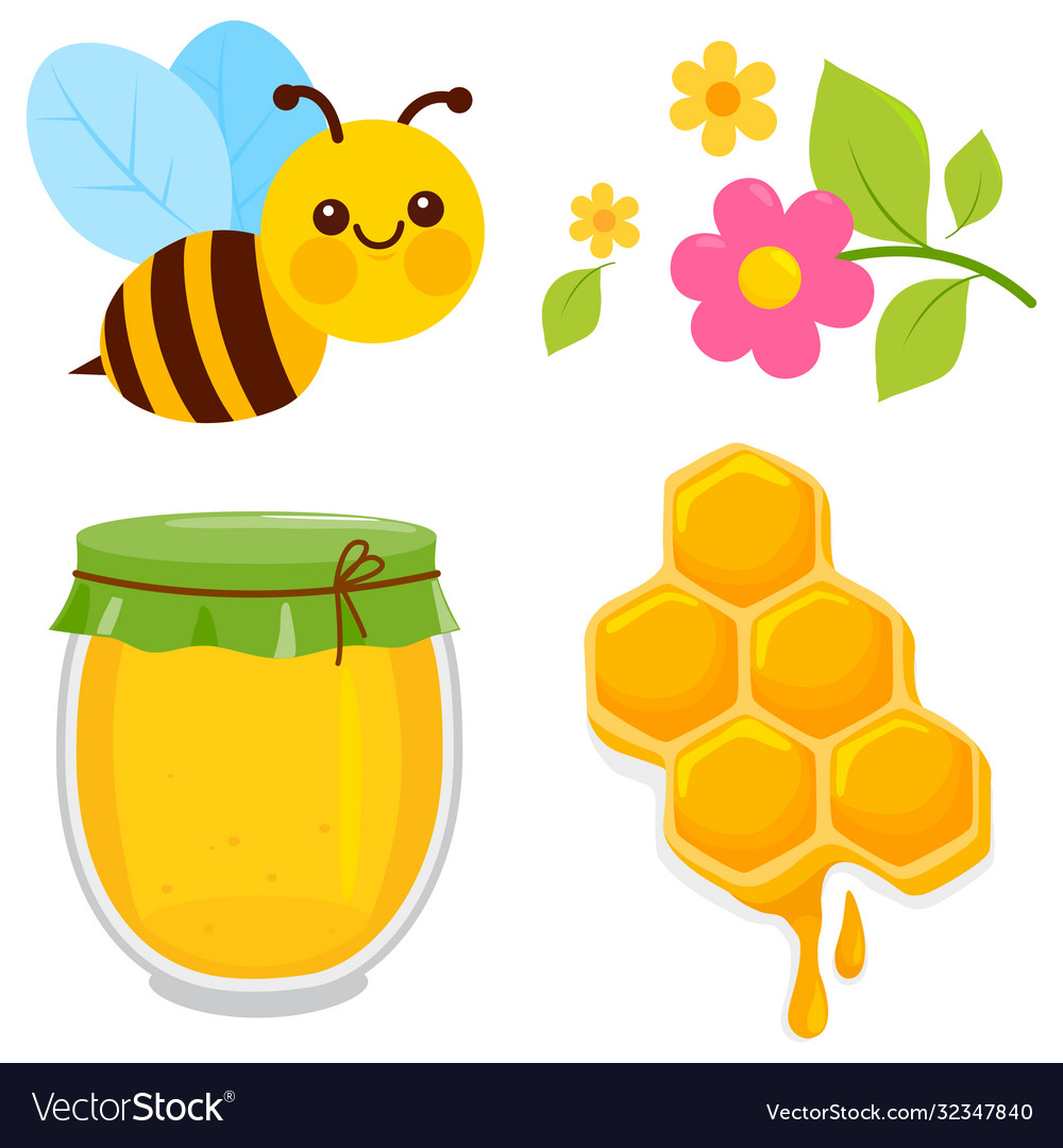 Honey collection Royalty Free Vector Image - VectorStock