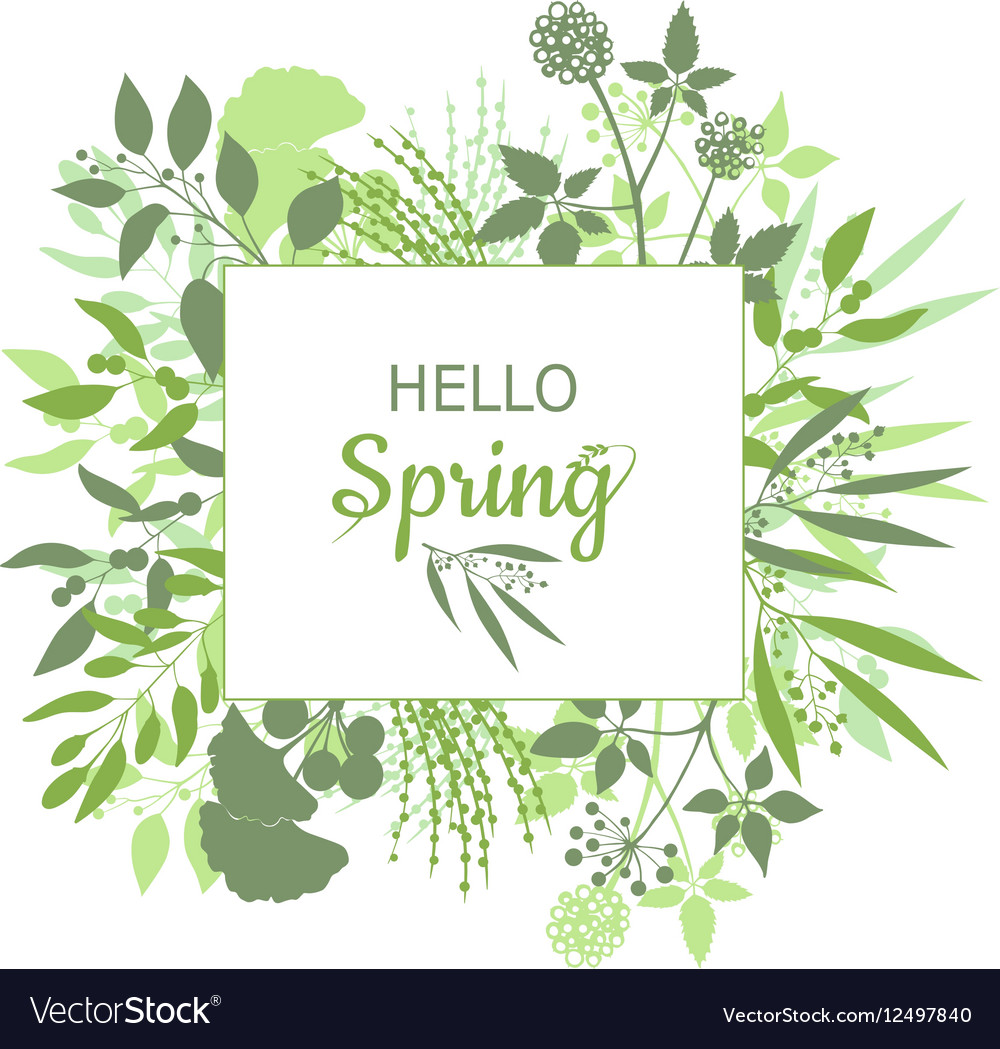 Spring Floral Card with Green Foliage