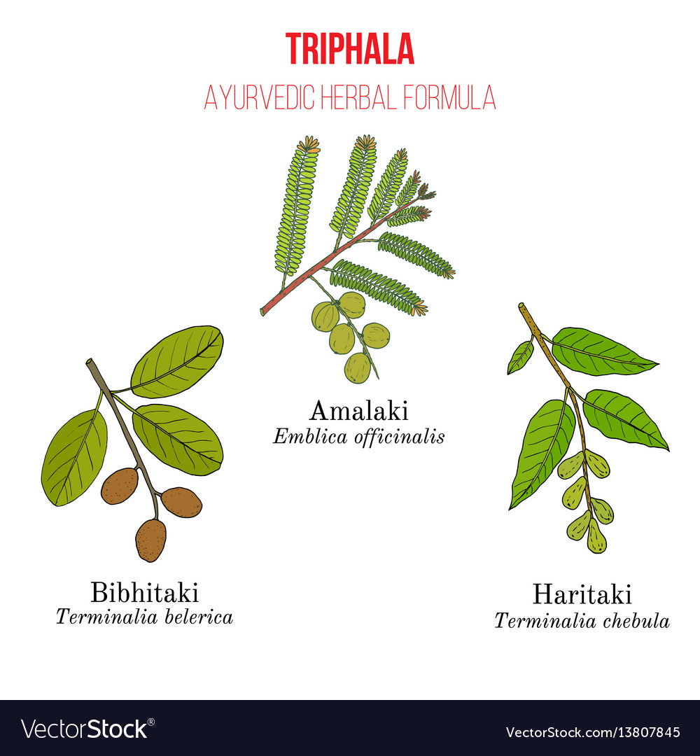 Best ayurvedic herbal remedy formulation triphala