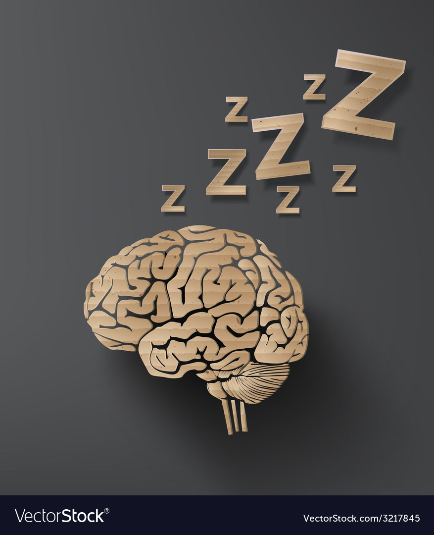 Brain with Cardboard Texture
