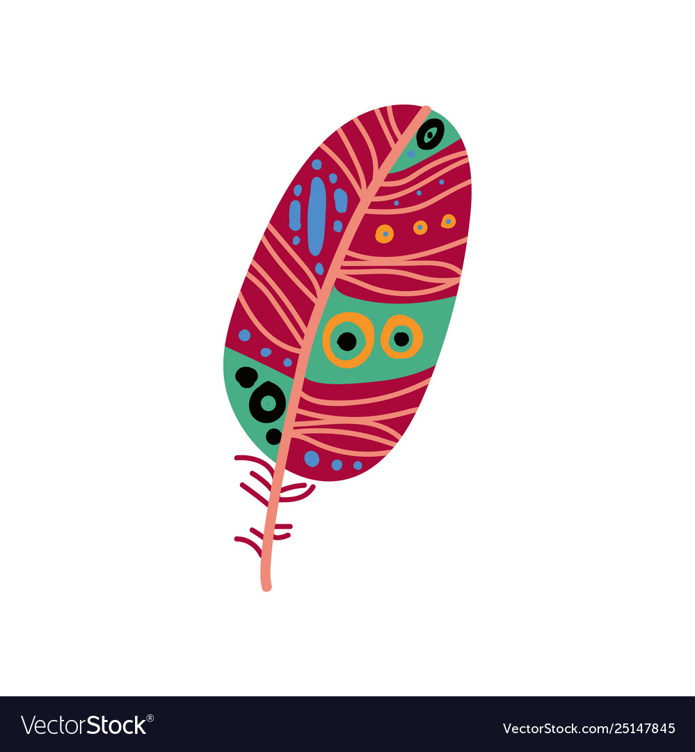 Colored bright bird feather with patterns vector image Colored bright bird feather with patterns