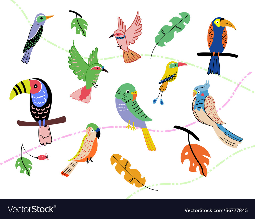 Exotic parrots set sitting on brunches Vector Image Exotic parrots set sitting on brunches