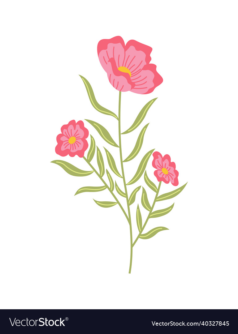Spring flower botanical floral icon design vector image Spring flower botanical floral icon design