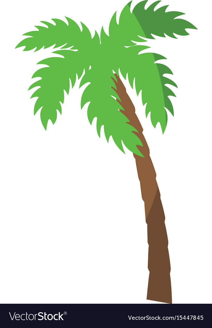 Tropical palms design Royalty Free Vector Image