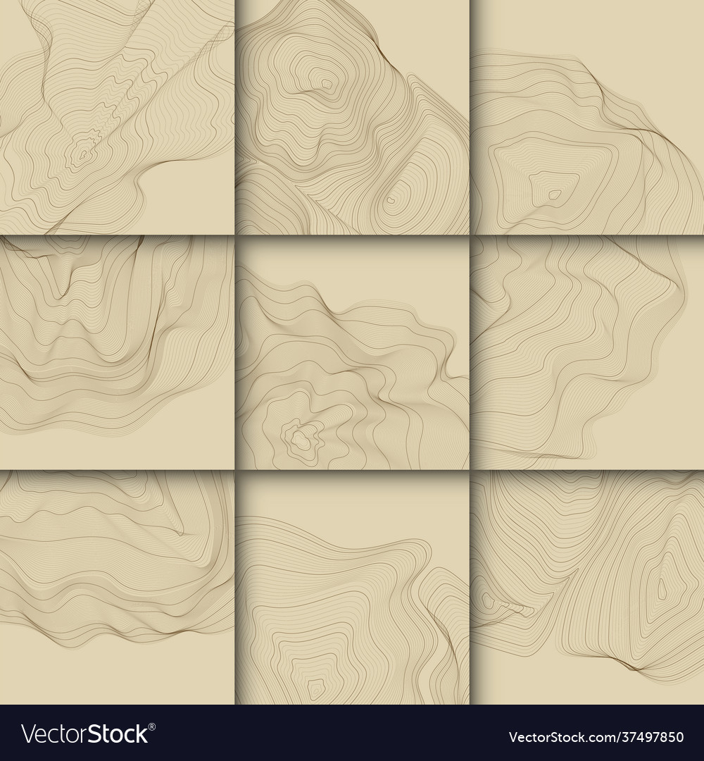 Abstract Contour Map Lines