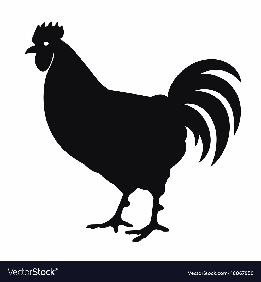 Chicken black icon on white background rooster