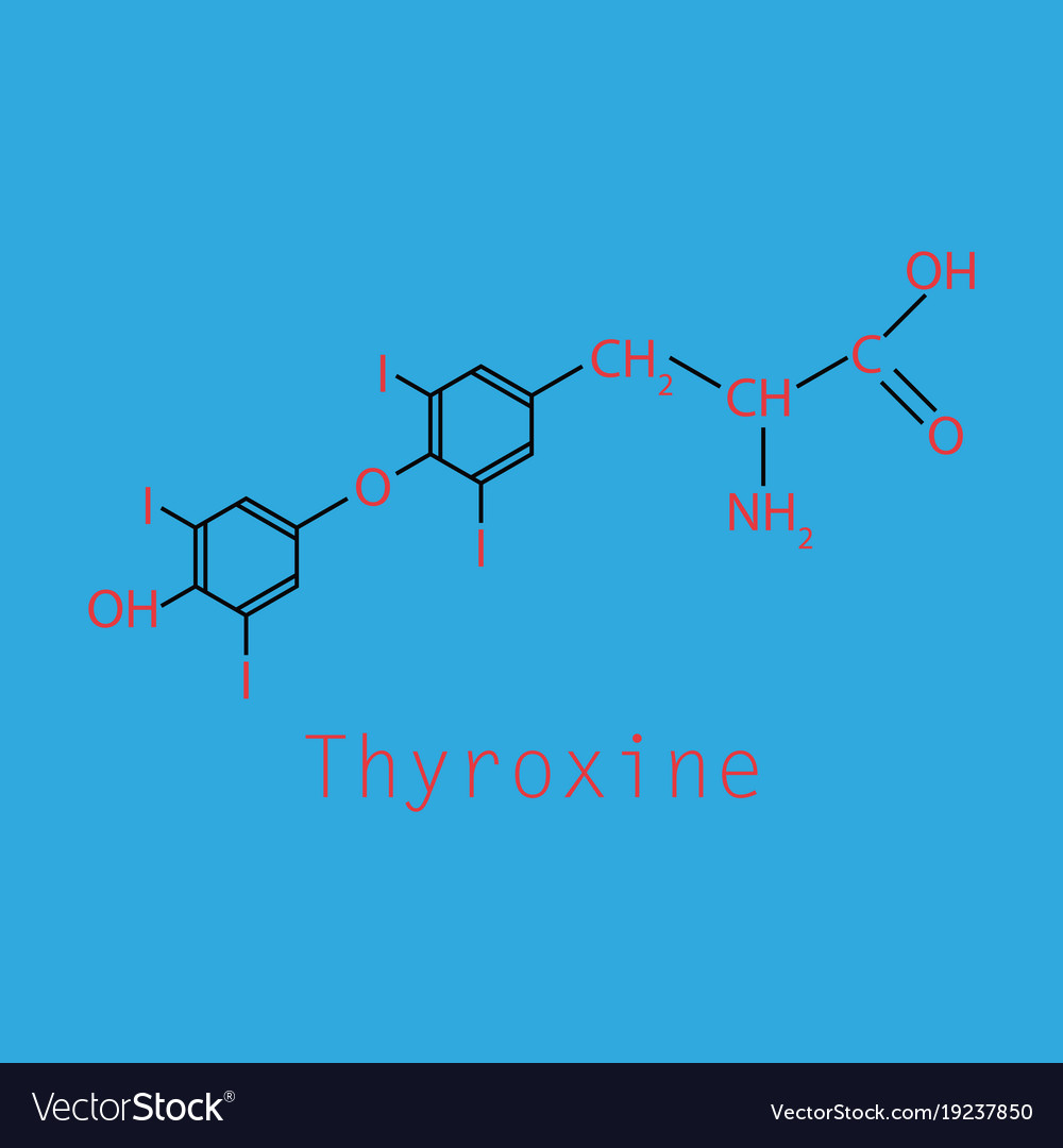 Thyroxin t4 levothyroxin Schilddrüsenhormon