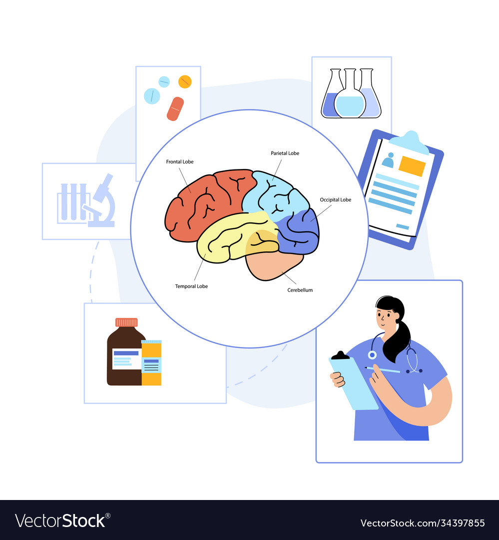 Gehirn- und Neurologie Vector Image Gehirn- und Neurologie
