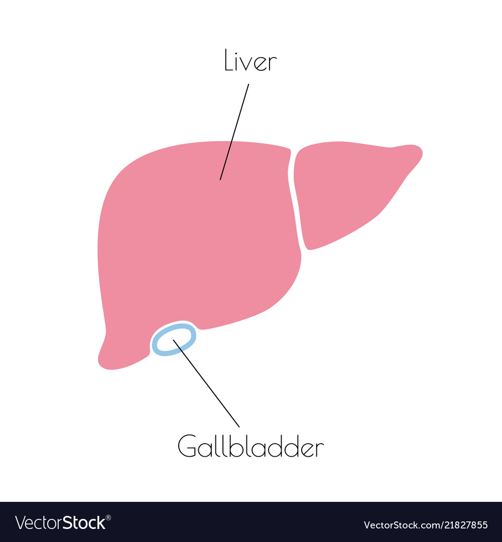 Isolated of liver