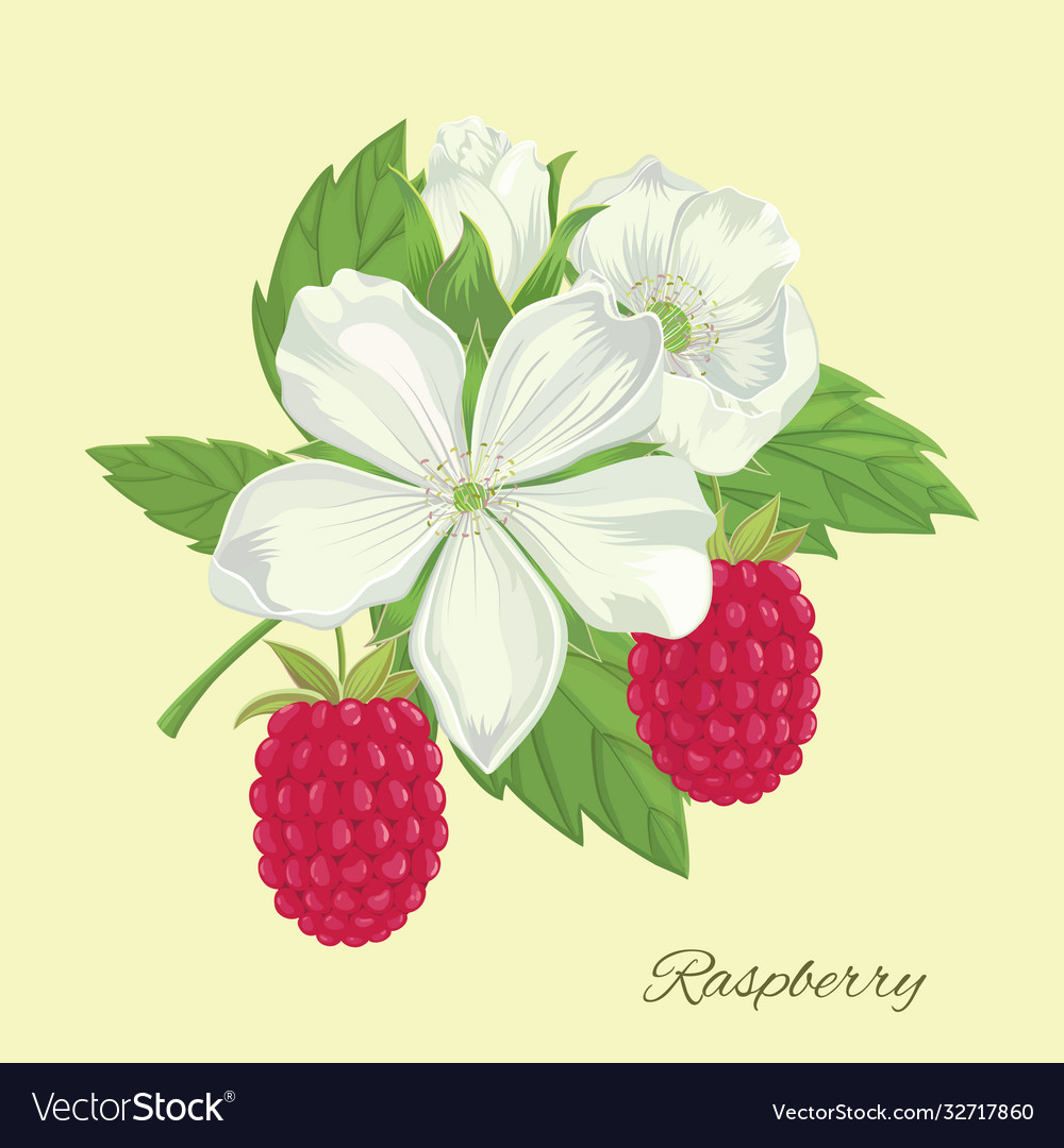 Raspberry