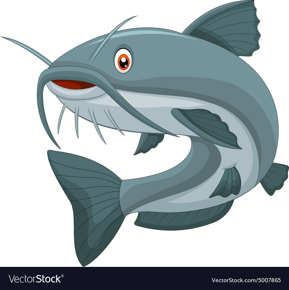 Cartoon catfish Royalty Free Vector Image - VectorStock